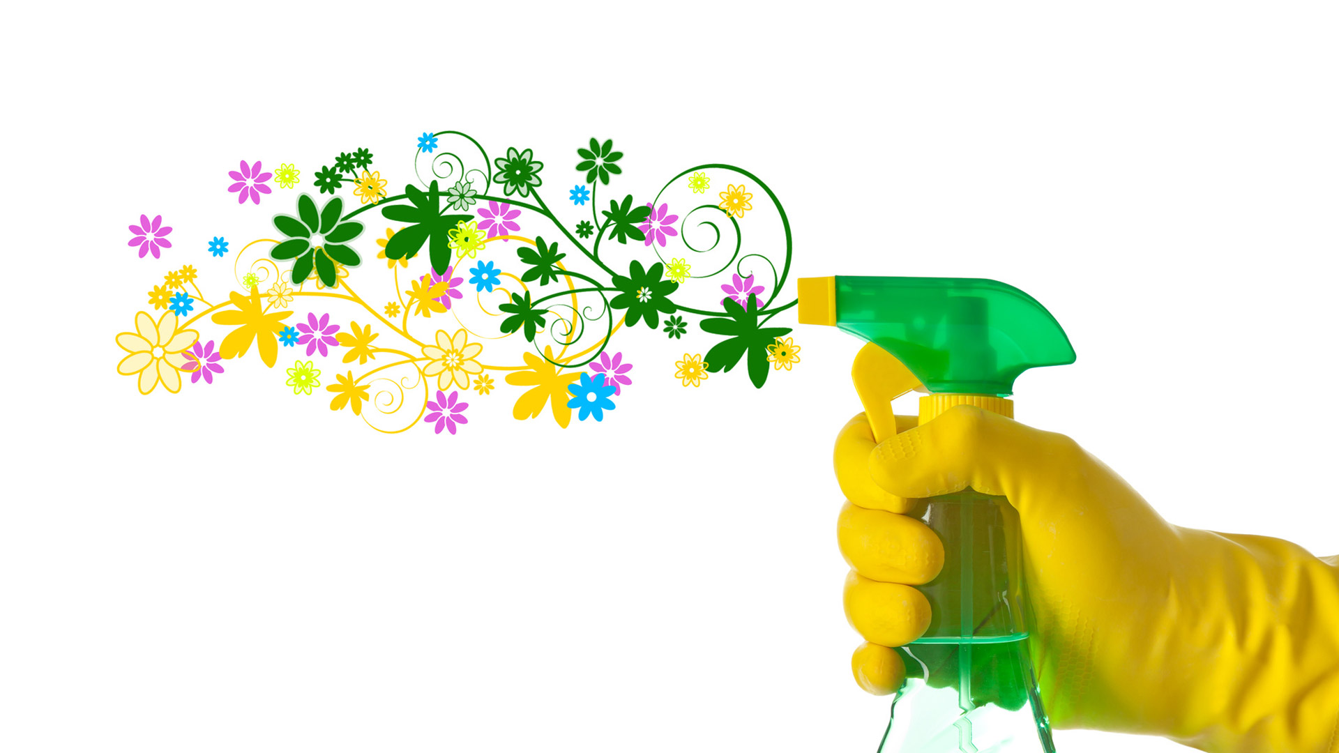 Hand spraying bottle of cleaning produce