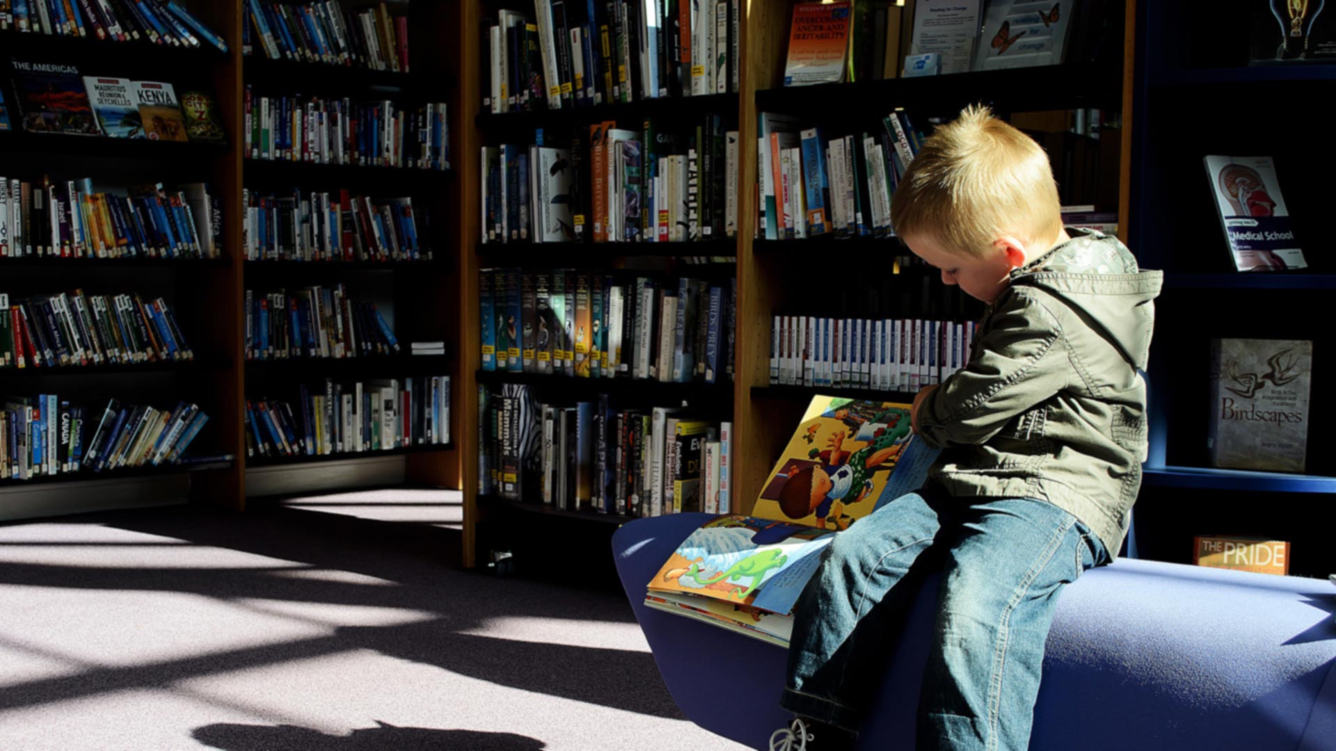 Picture of young boy reading picture book in a library