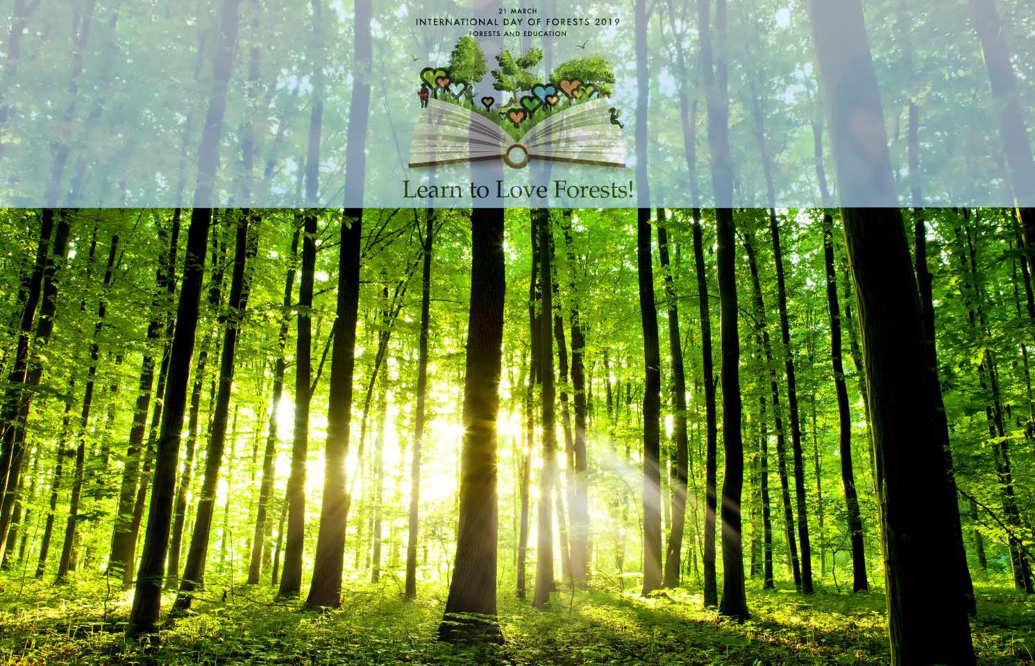 International Day of Forests logo