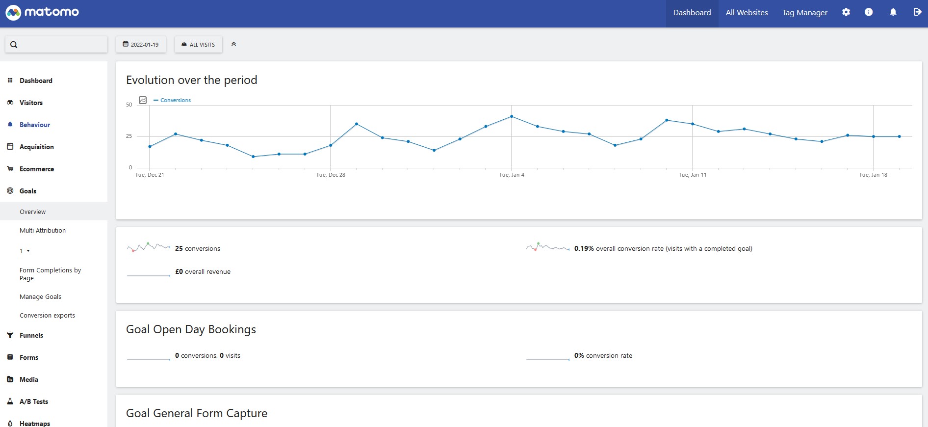 The goal report for Matomo shows how many conversions have happened on the site.