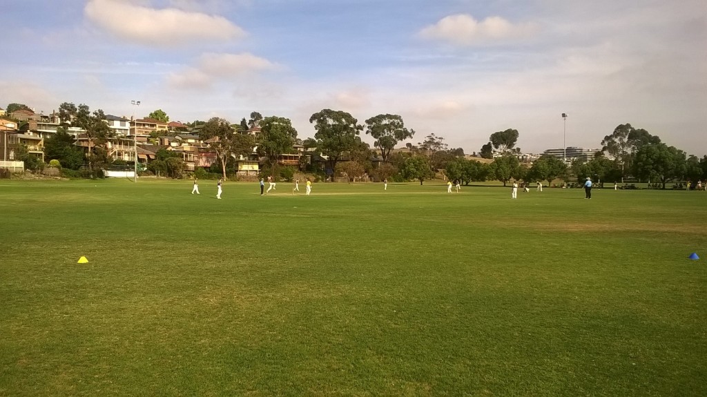 Jnr cricket at VU ©Duncan Stone 2016