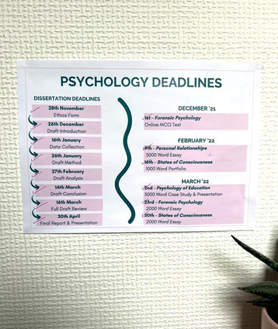 final year blog - deadlines