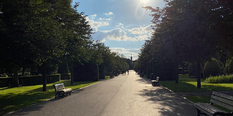 Why I chose Digital Marketing - Greenhead Park