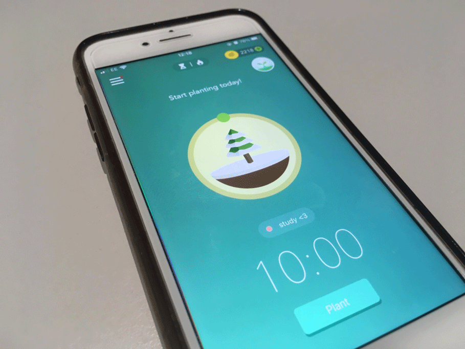 Forest app - Student Christmas blog