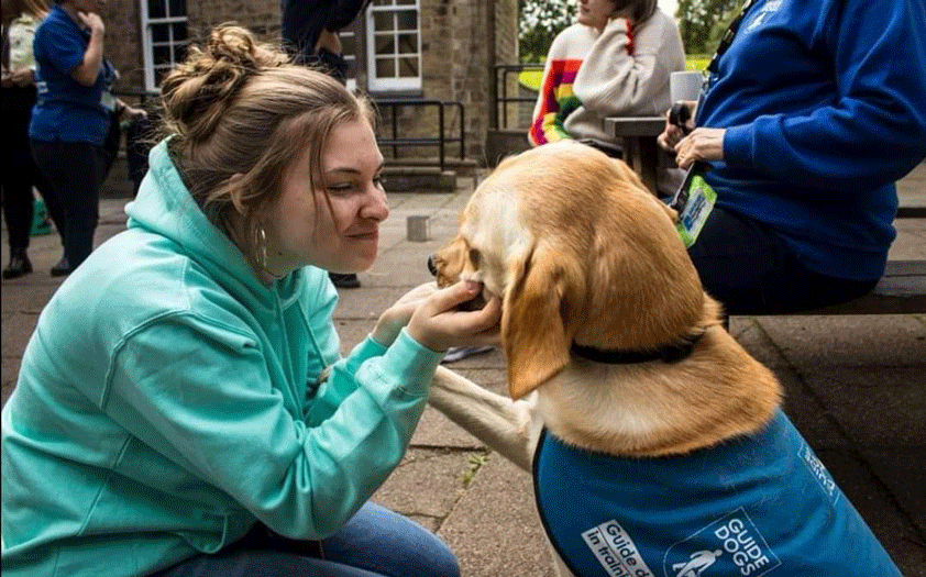 Storthes Hall Blog - guide dog