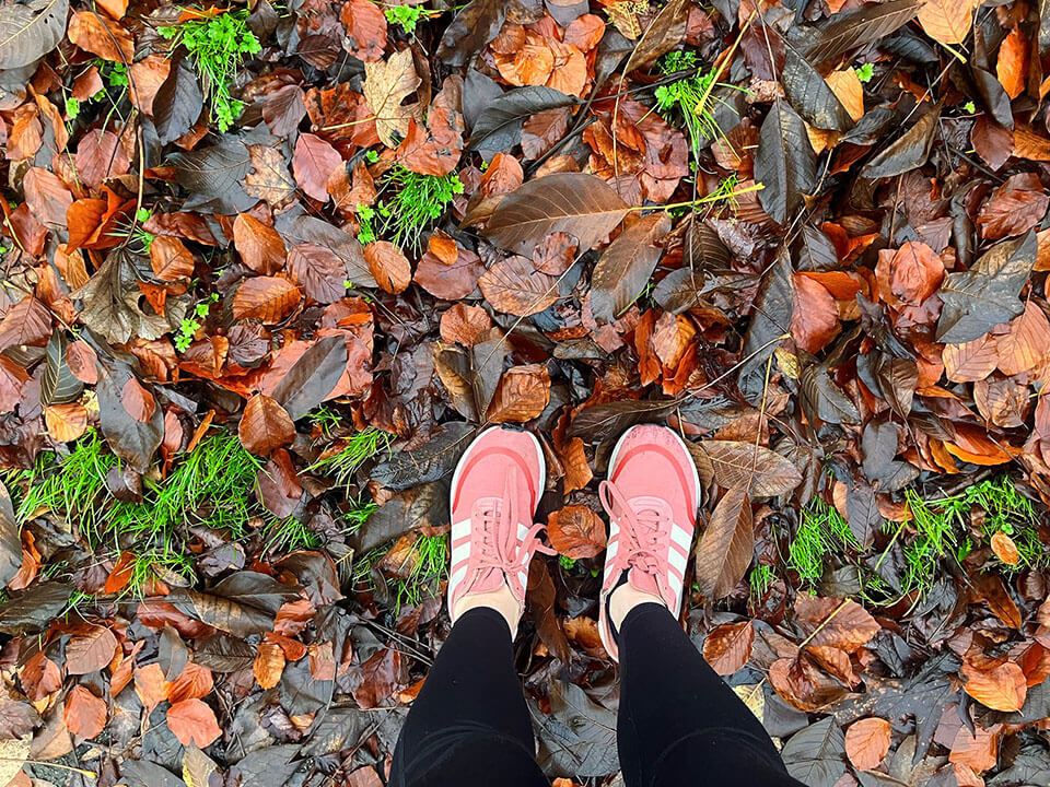 point of view image of someone wearing running pink trainers in a pile of leaves