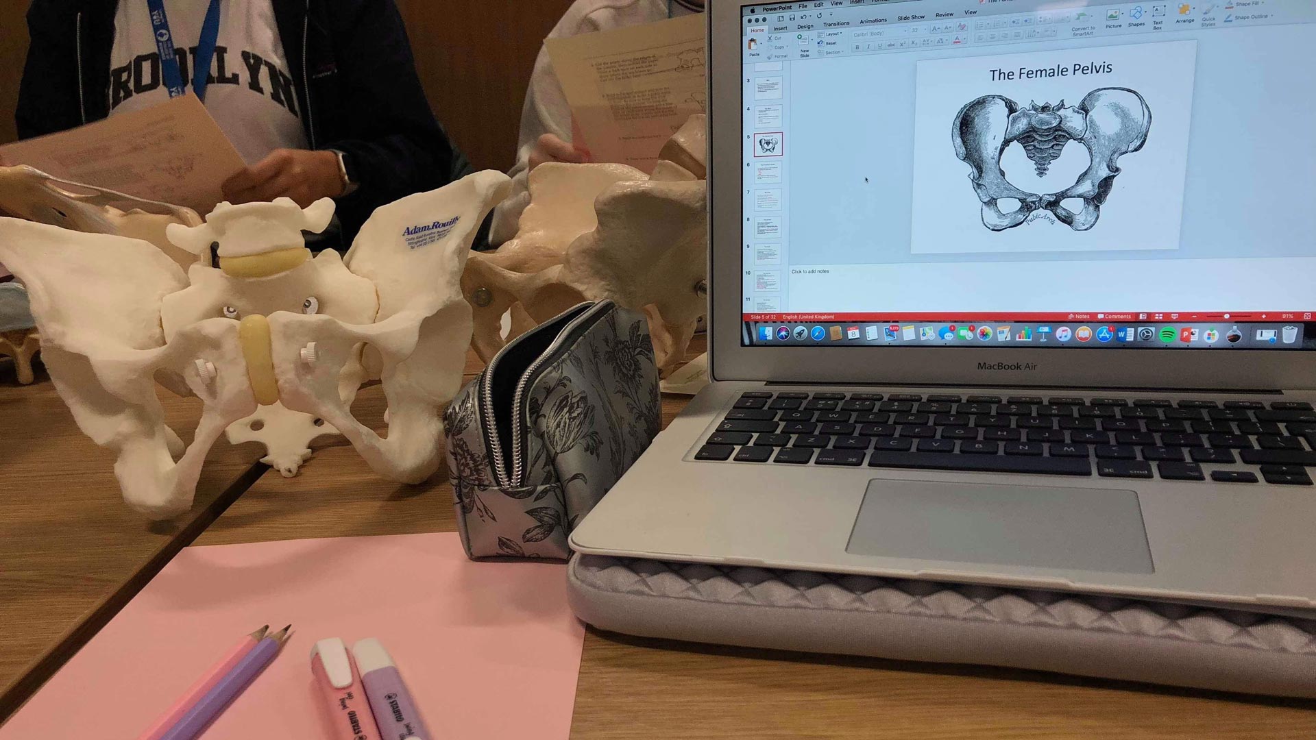 A photo of a students workstation with pens, a laptop and a model of a female pelvis.