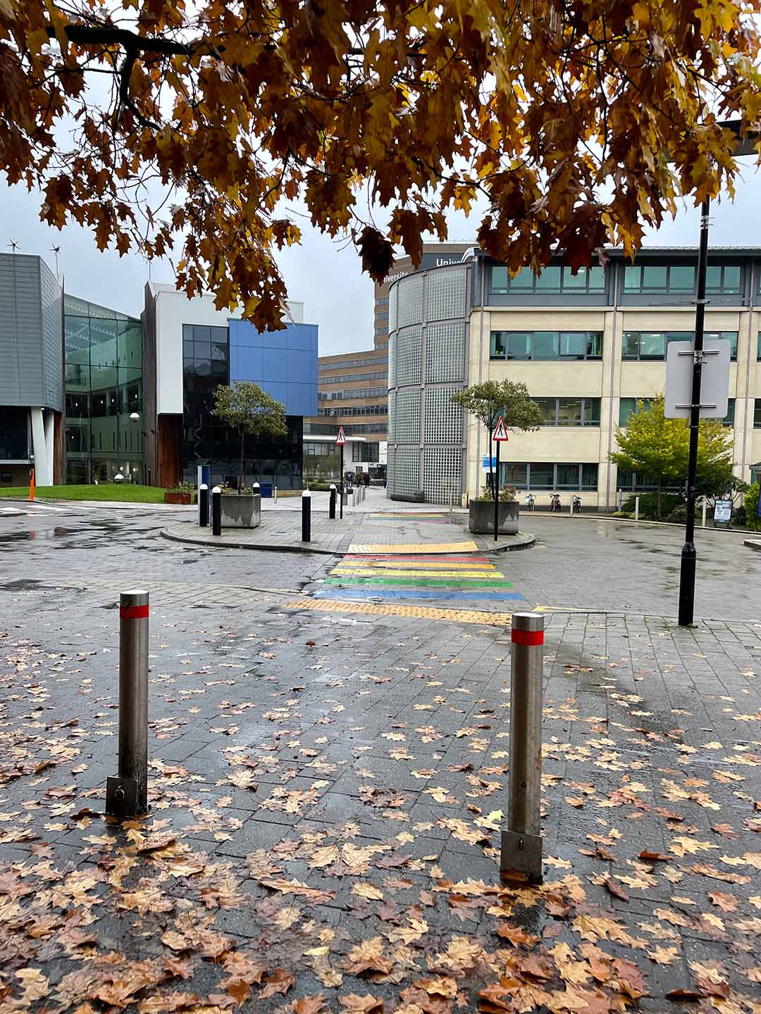University reception in an autumn setting with leaves on the floor