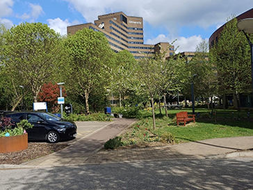 A large brick building, partially hidden behind trees