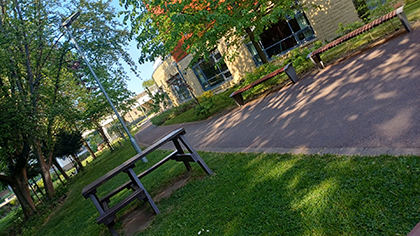 Picnic bench by the canal