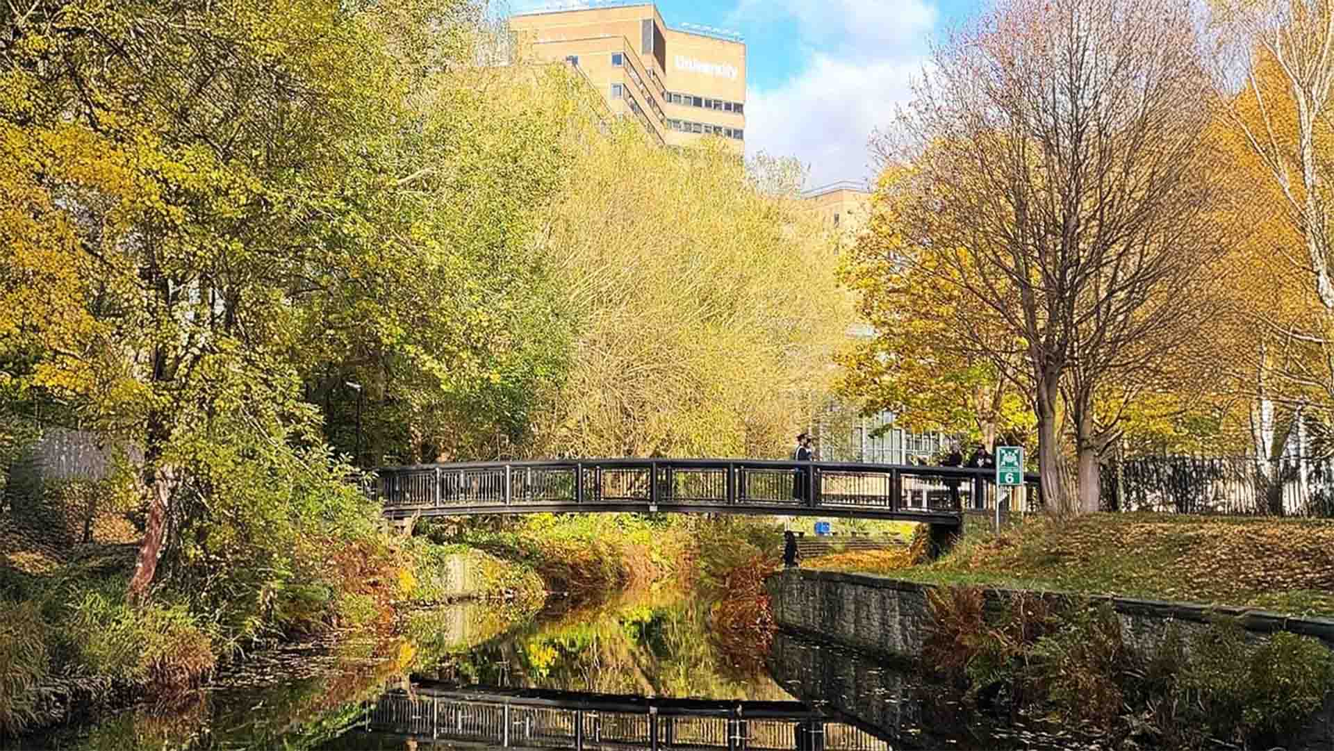 A serene autumn scene at a university campus with a bridge crossing over a reflective canal, surrounded by lush trees, with the university building visible in the background.