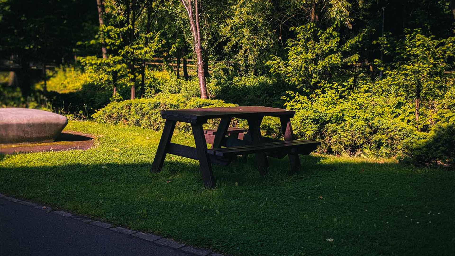 A wooden picnic table in a lush park setting with trees and greenery in the background, bathed in soft sunlight.