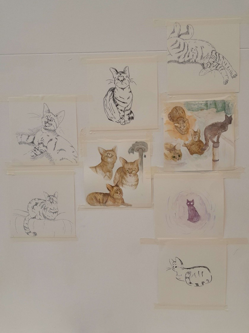 Art display featuring multiple sketches of cats in various poses, mounted on a white wall.