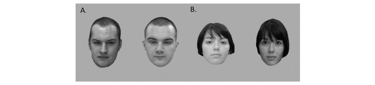 image example from the Glasgow Face Matching Task, Burton et al. (2010).