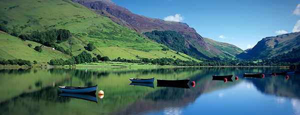 Coronavirus lockdown – yet many seek to escape to the country… why? Behavourial scientist Dr Chris Cameron explains