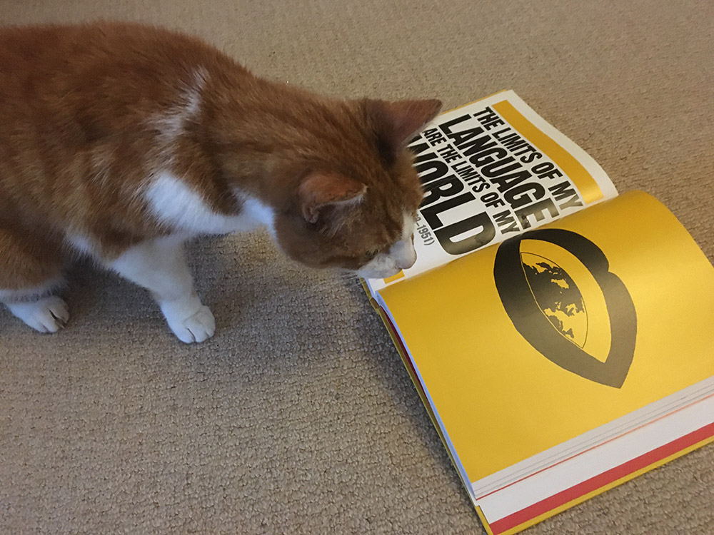 Siobhan's cat looking at one of her textbooks.
