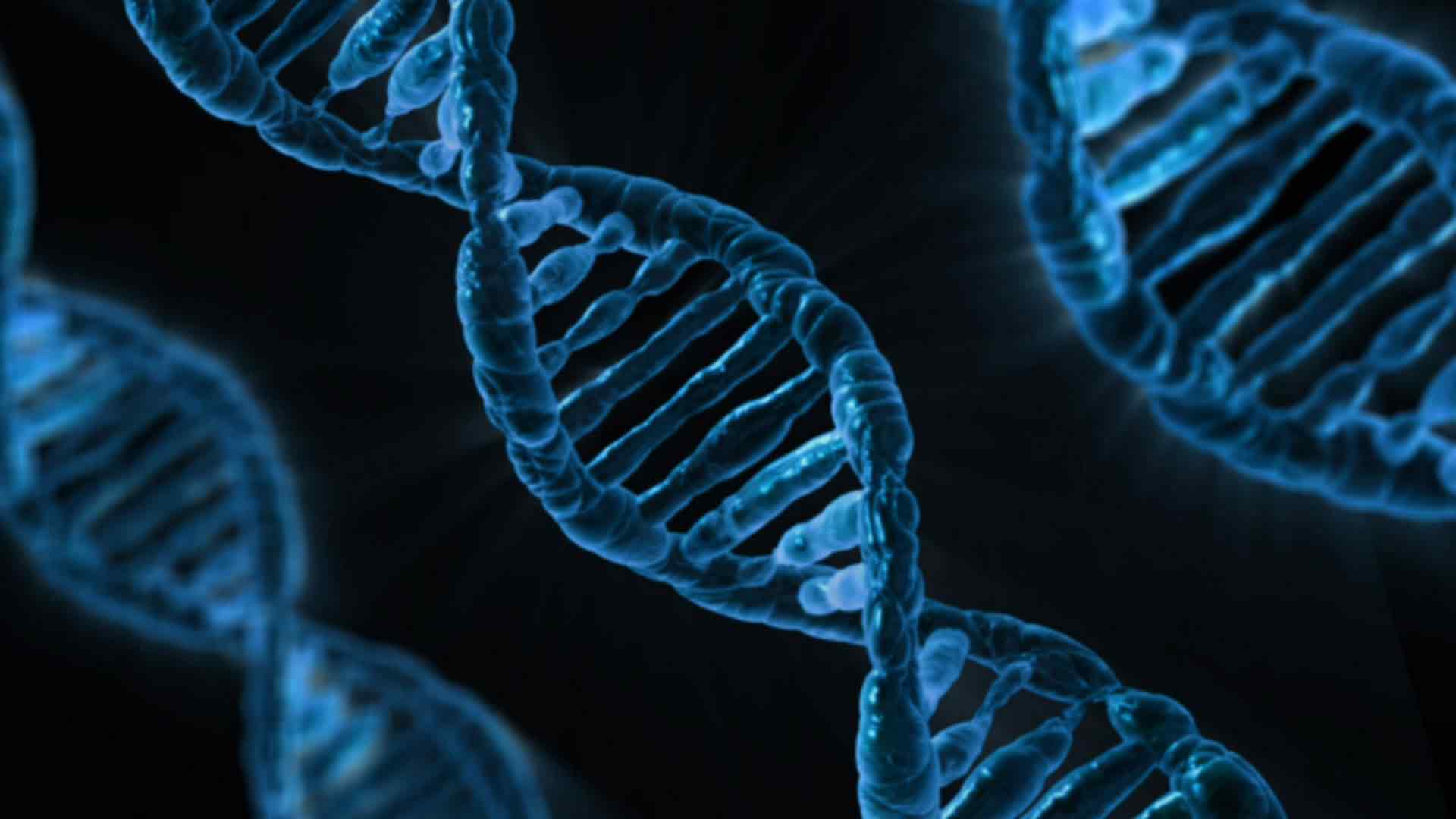 DNA helix illustration